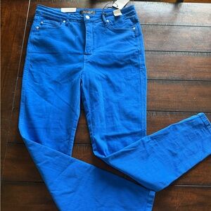 Judy Blue Electric Blue Skinny Jeans